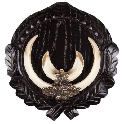 Boar tusks cover 203