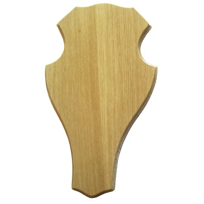 Fallow-deer trophy shield
