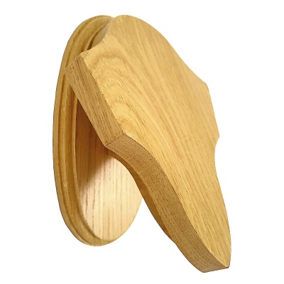 Predator trophy shield