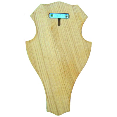 Fallow-deer trophy shield