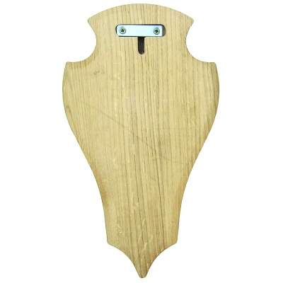 Fallow-deer trophy shield